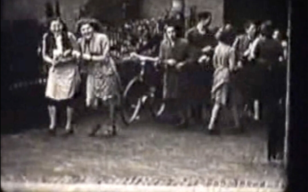 Van onder het stof, 700 jaar textielnijverheid in Zottegem